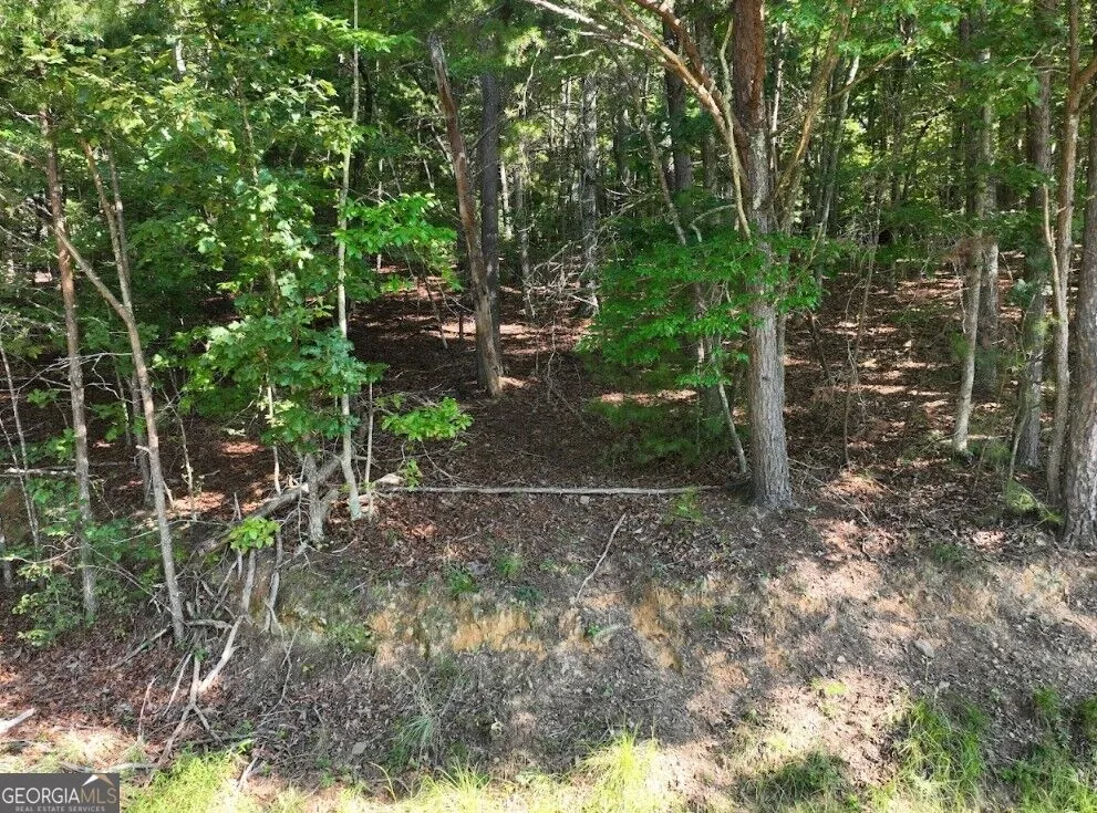 0 Popular DR Blairsville, GA 30512