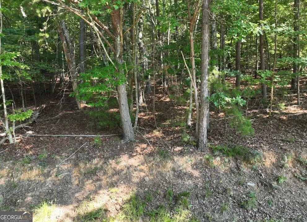 0 Popular DR Blairsville, GA 30512