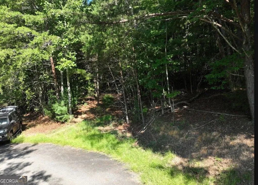 0 Popular DR Blairsville, GA 30512