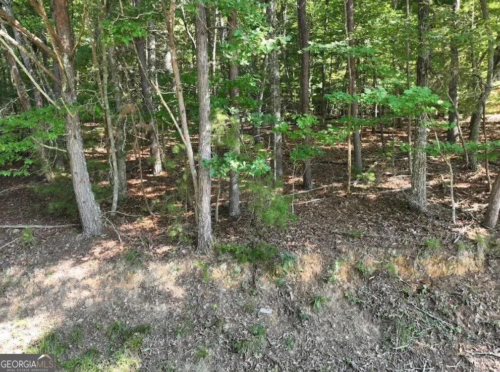 0 Popular DR Blairsville, GA 30512