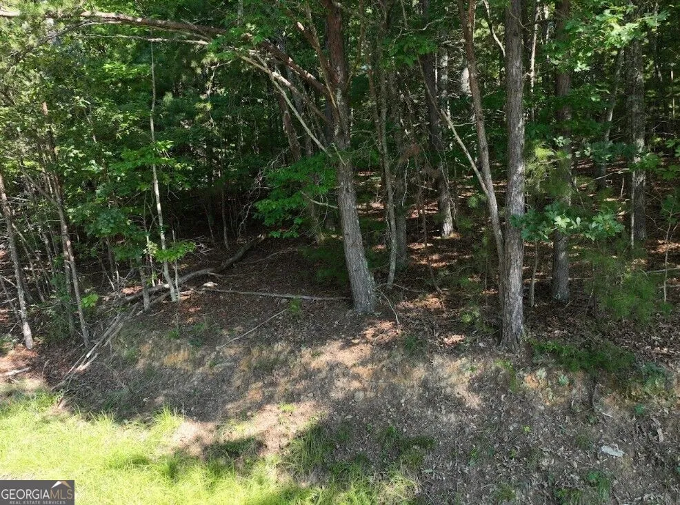 0 Popular DR Blairsville, GA 30512