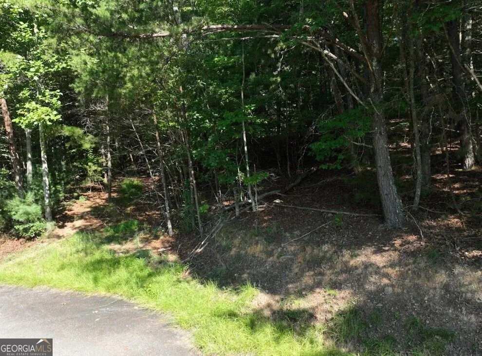 0 Popular DR Blairsville, GA 30512