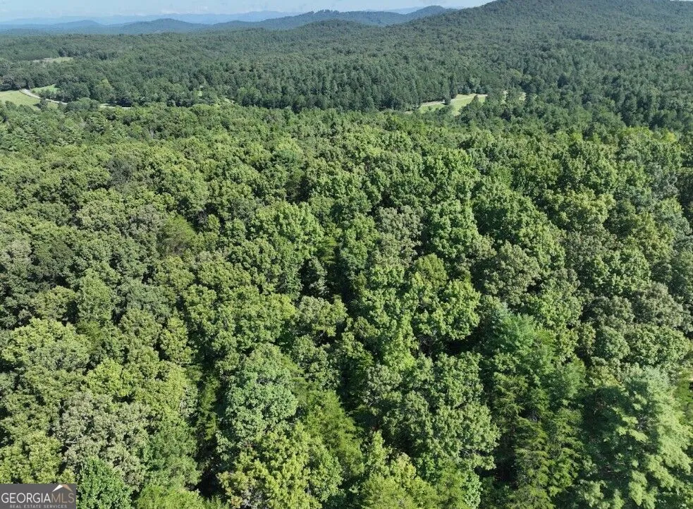 0 Popular DR Blairsville, GA 30512