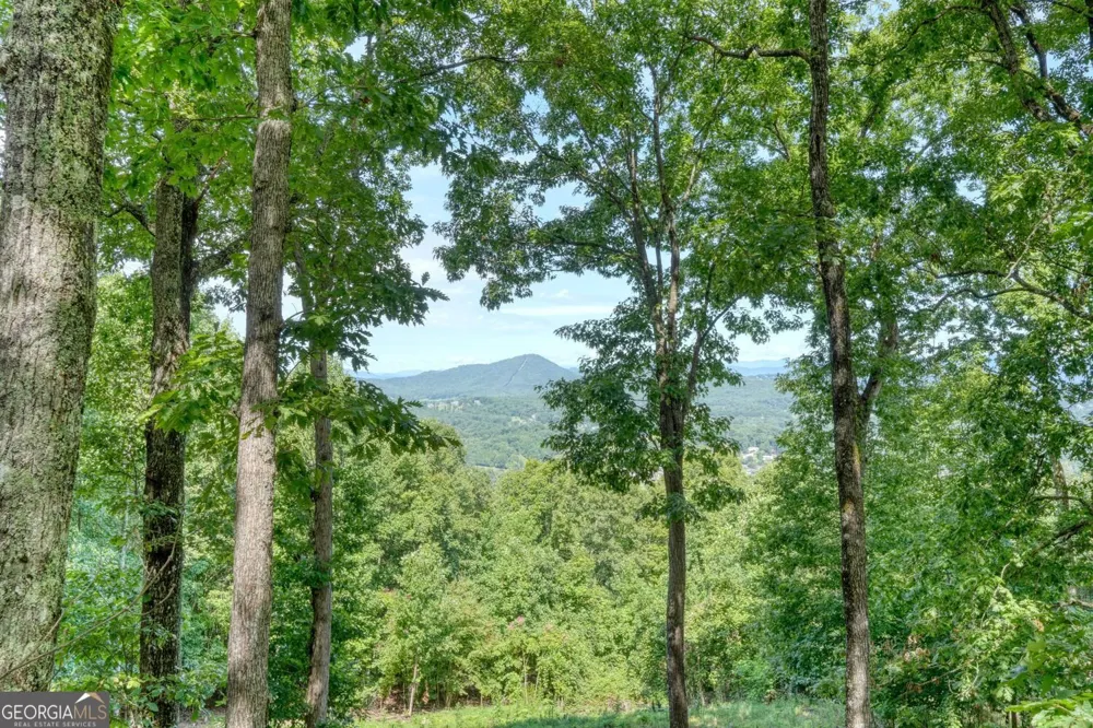 854 Frog Pond RD Hiawassee, GA 30546