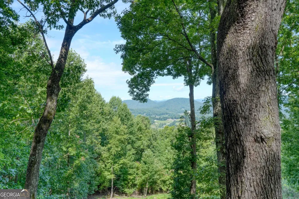 854 Frog Pond RD Hiawassee, GA 30546