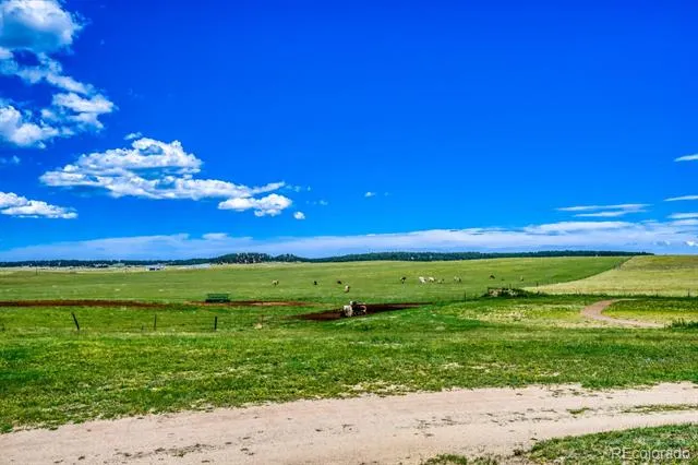 16325 Eastonville Road Black Forest, CO 80106