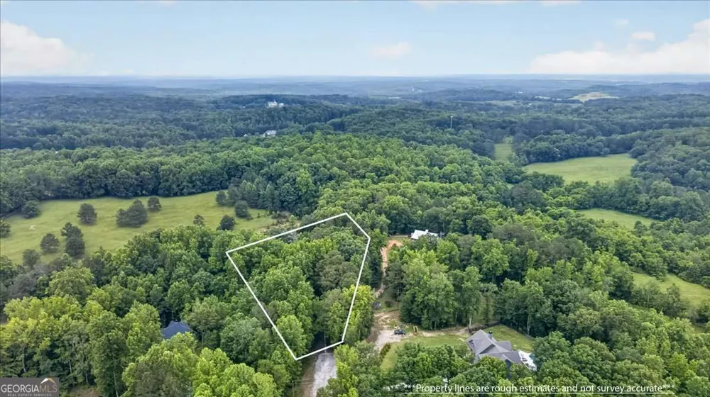 435 Sleepy Hollow LN Cumming, GA 30028