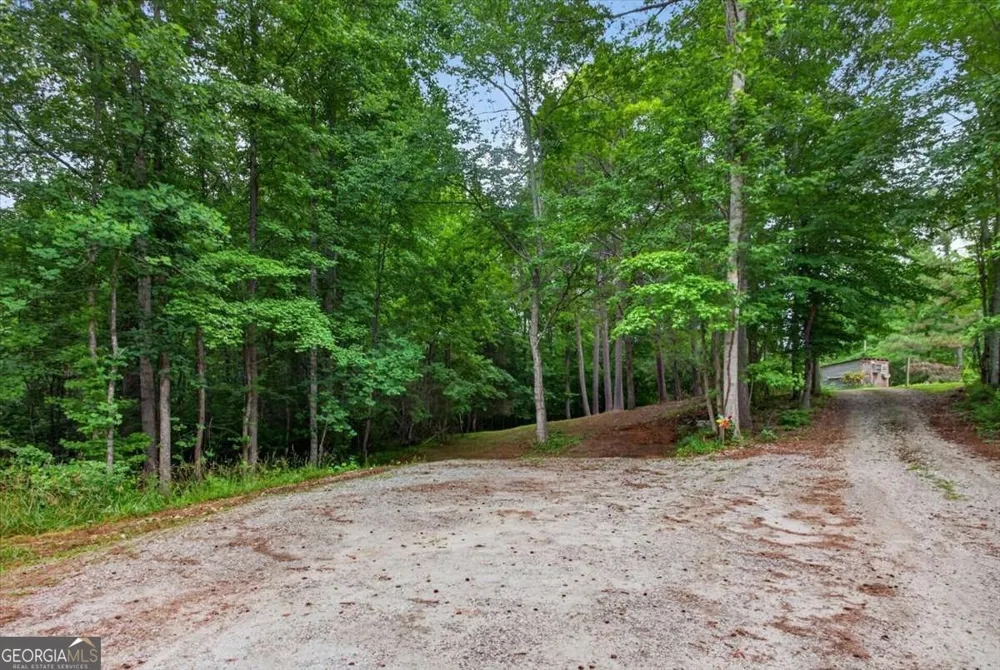 435 Sleepy Hollow LN Cumming, GA 30028