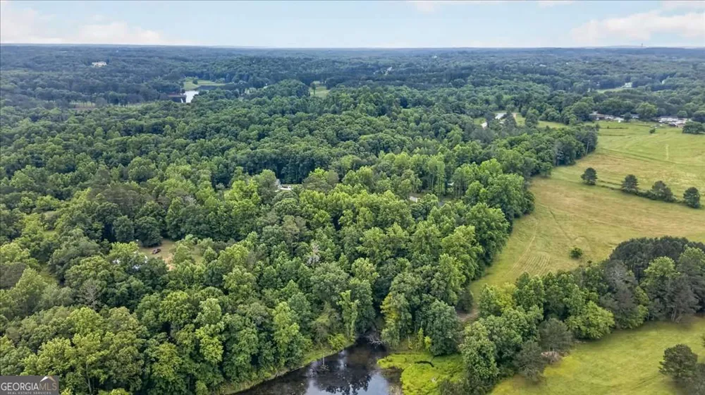 435 Sleepy Hollow LN Cumming, GA 30028