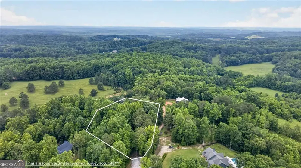 435 Sleepy Hollow LN Cumming, GA 30028