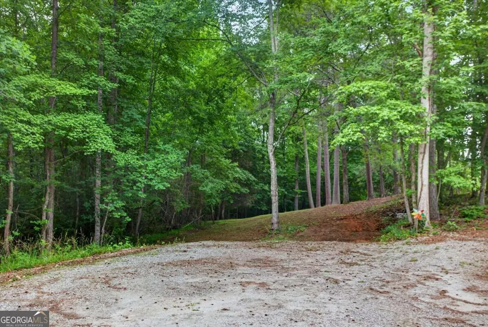 435 Sleepy Hollow LN Cumming, GA 30028