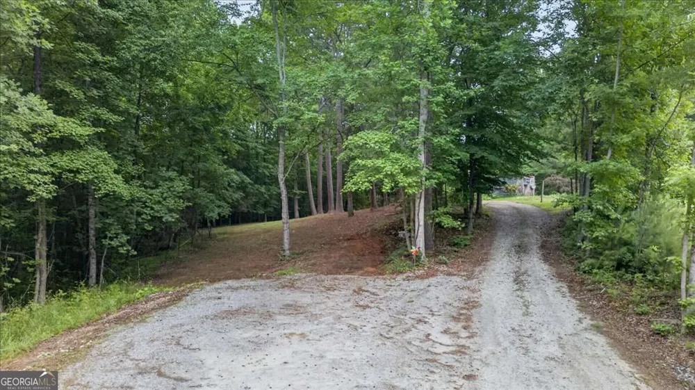 435 Sleepy Hollow LN Cumming, GA 30028