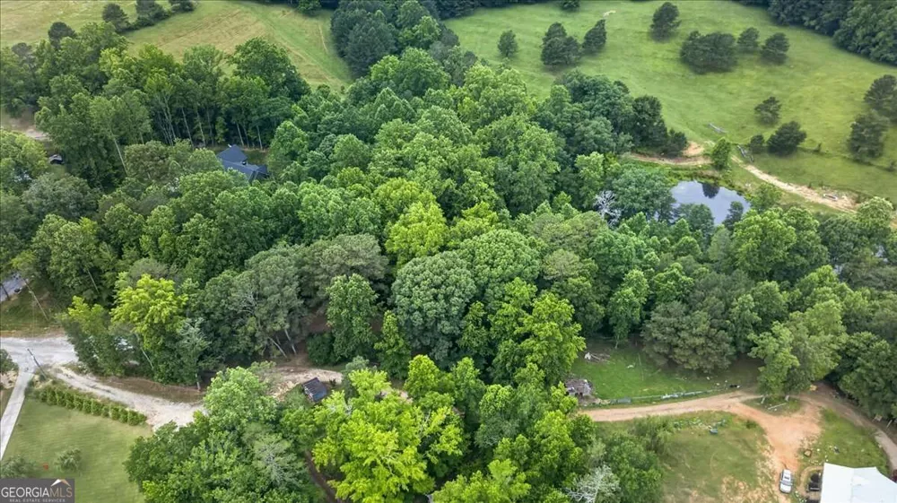 435 Sleepy Hollow LN Cumming, GA 30028