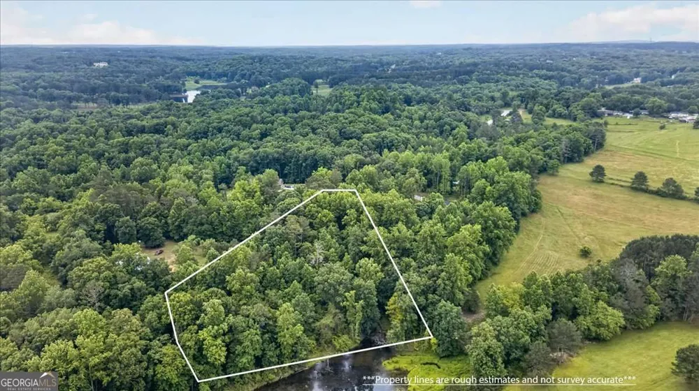 435 Sleepy Hollow LN Cumming, GA 30028