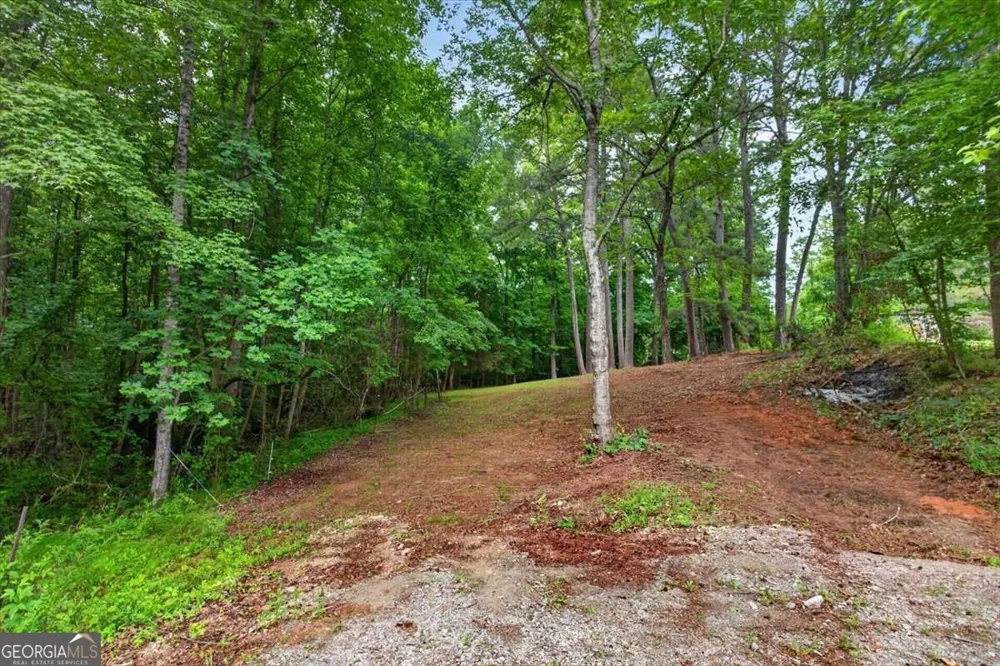435 Sleepy Hollow LN Cumming, GA 30028