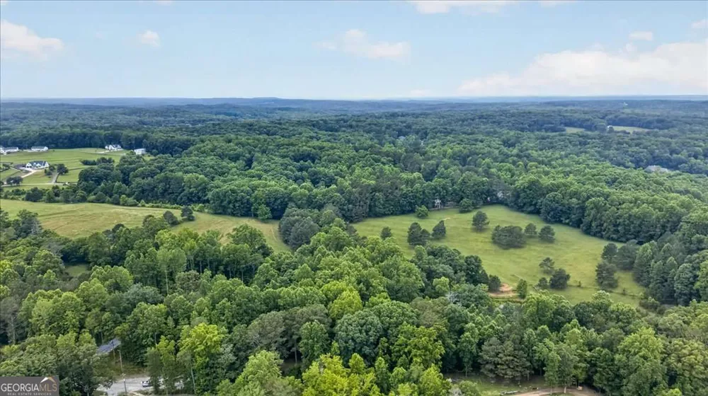 435 Sleepy Hollow LN Cumming, GA 30028