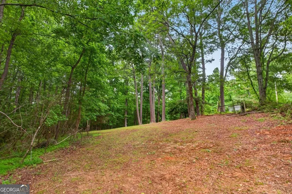 435 Sleepy Hollow LN Cumming, GA 30028