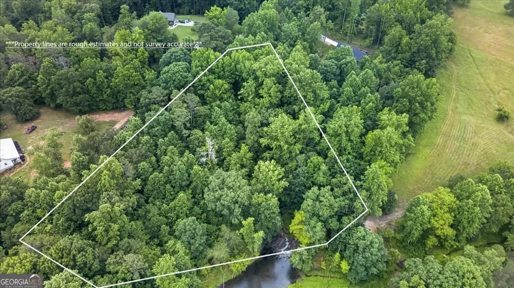 435 Sleepy Hollow LN Cumming, GA 30028