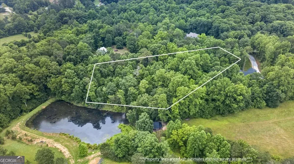 435 Sleepy Hollow LN Cumming, GA 30028