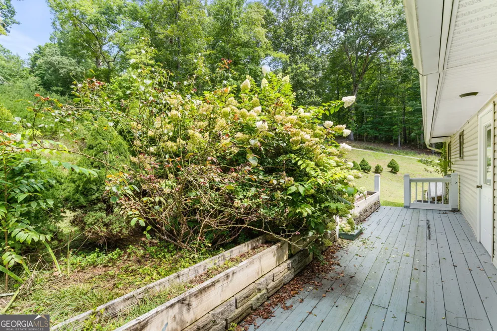 3514 Old Hwy 64 W Warne, NC 28909