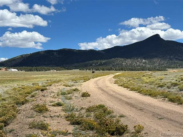 11065 Larimer Road Hartsel, CO 80449