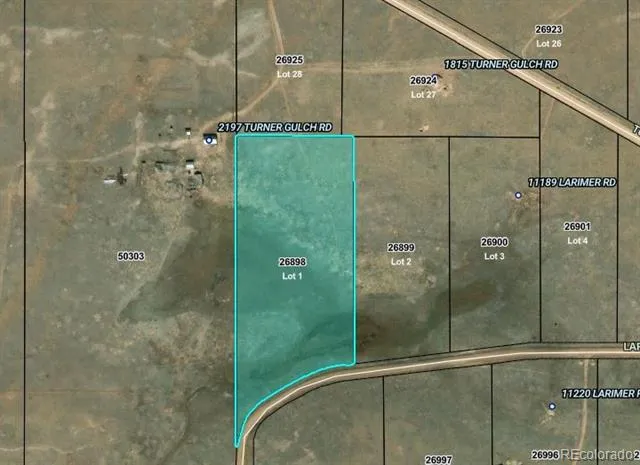 11065 Larimer Road Hartsel, CO 80449