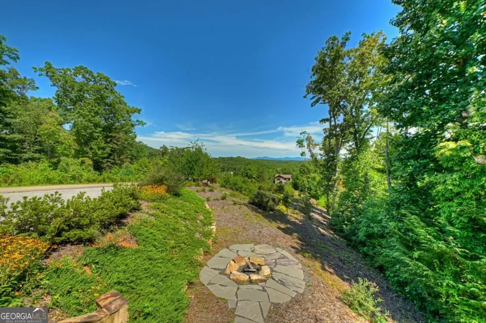 320 Amber RDG Blue Ridge, GA 30513