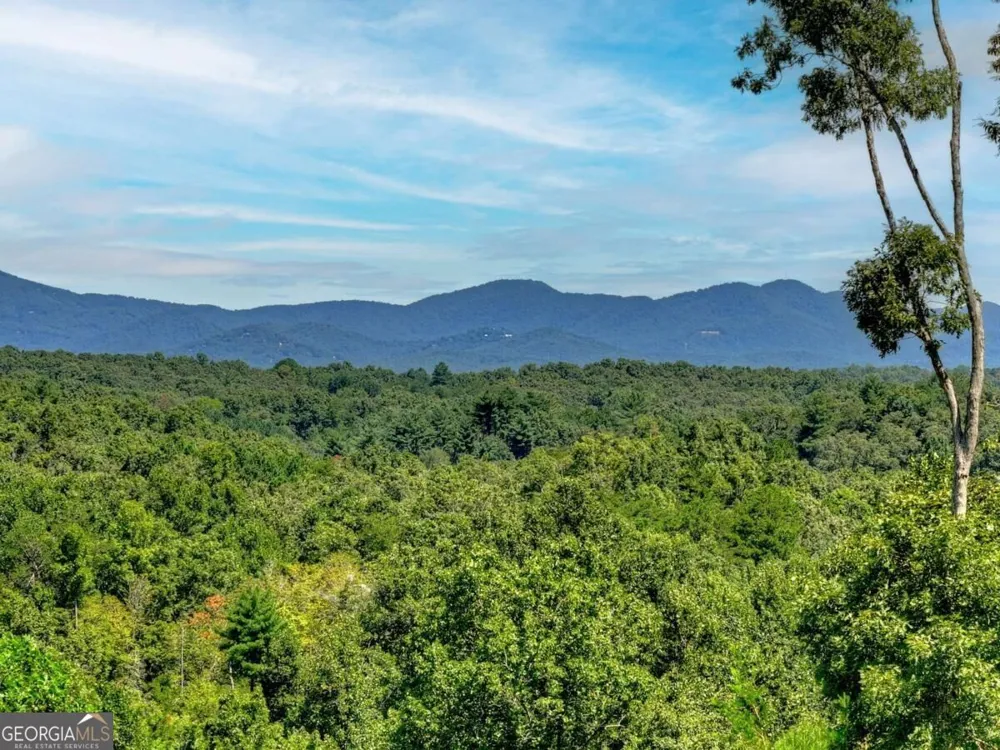 320 Amber RDG Blue Ridge, GA 30513