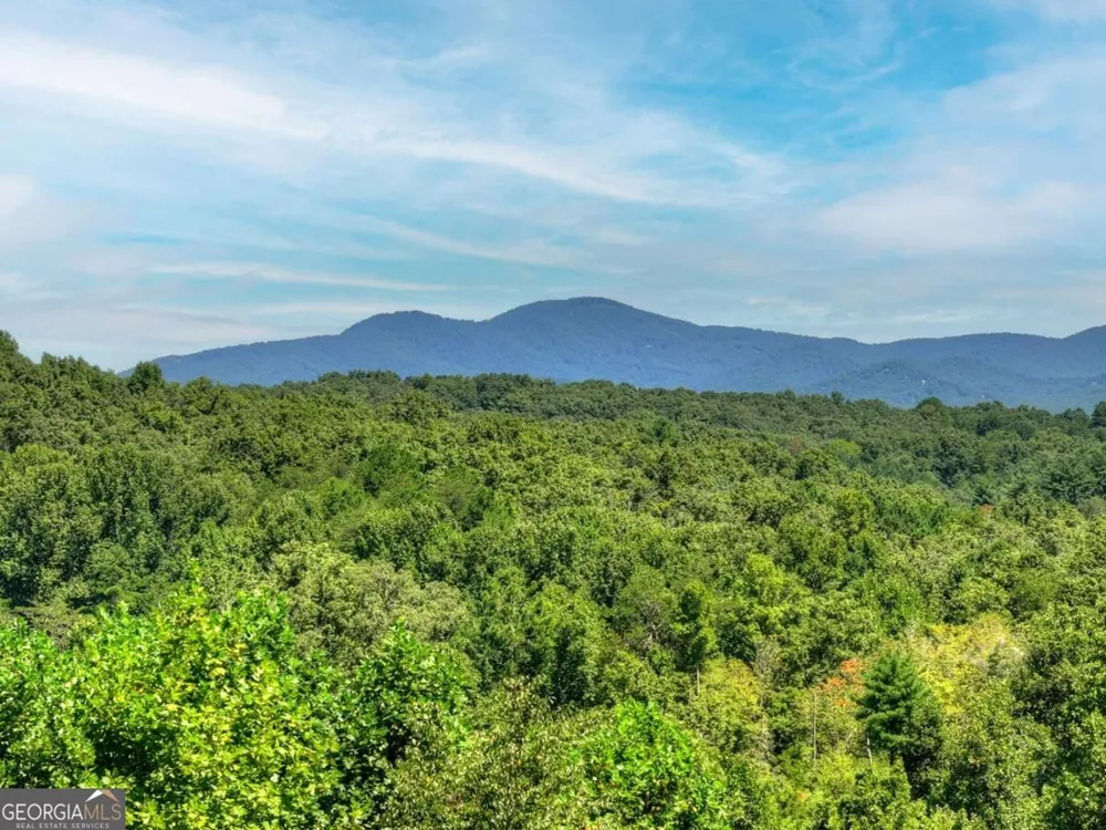 320 Amber RDG Blue Ridge, GA 30513