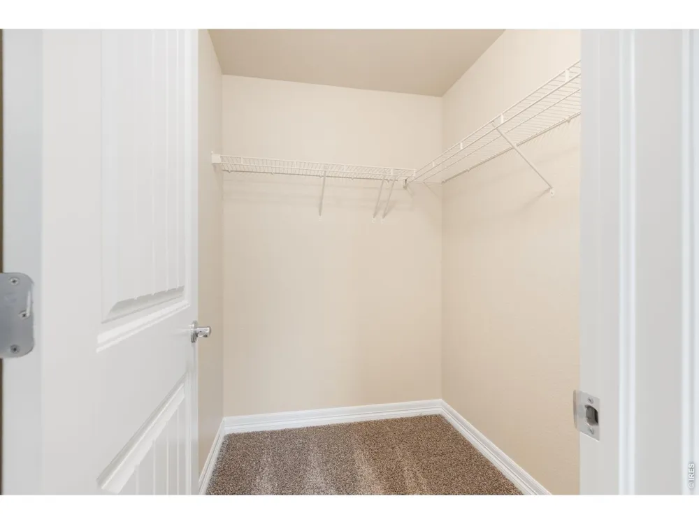 1798 Avery Plaza Street Severance, CO 80550