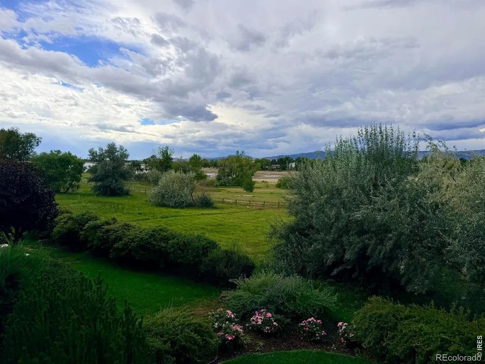 3665 Harbor Way Fort Collins, CO 80524