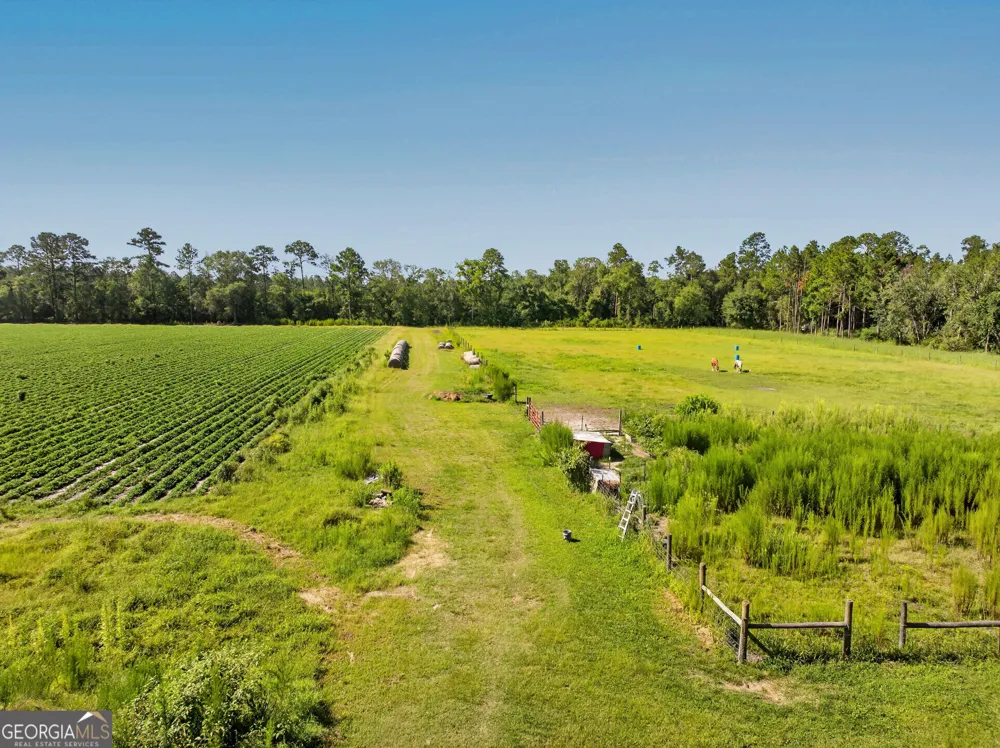301 Jerry Sutton RD Alapaha, GA 31622