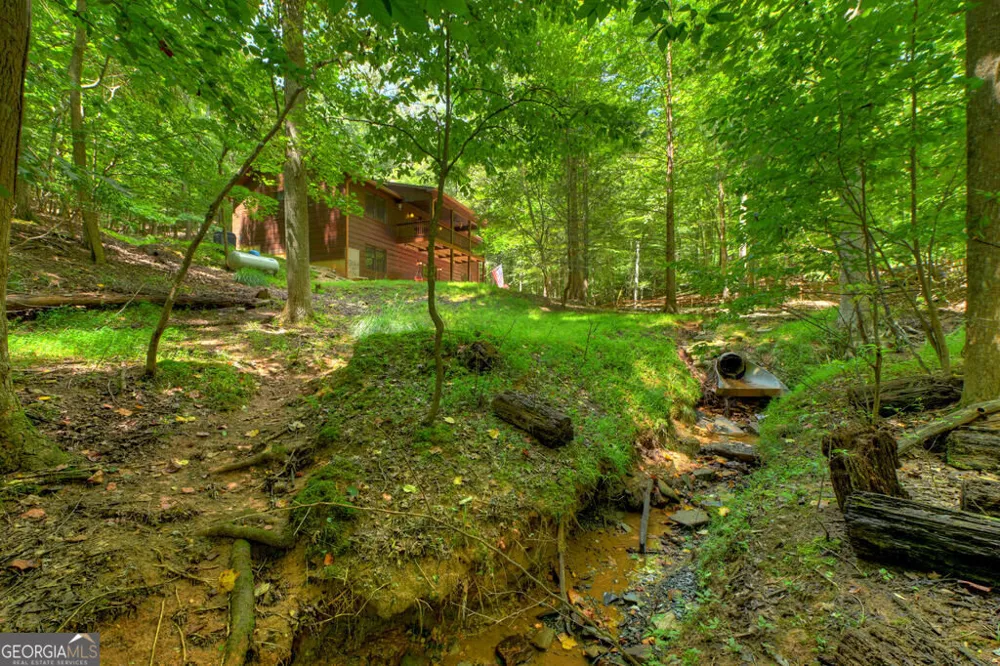 162 Primrose CT Ellijay, GA 30540
