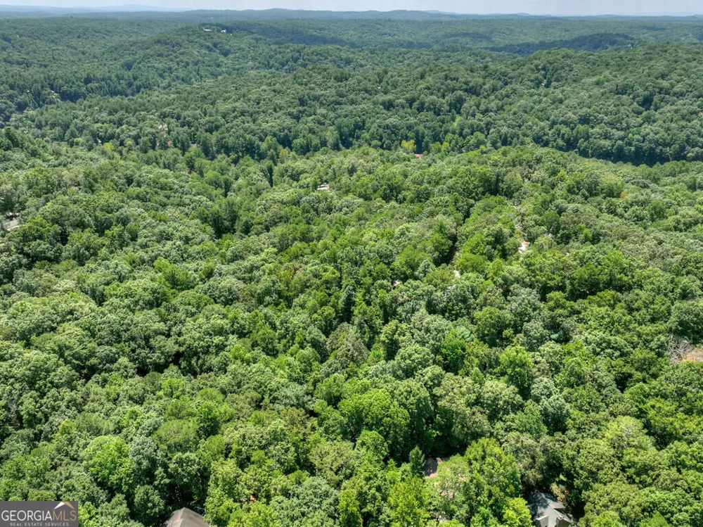 162 Primrose CT Ellijay, GA 30540