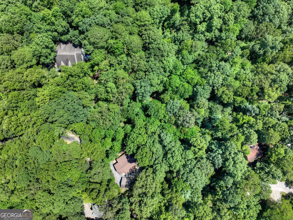 162 Primrose CT Ellijay, GA 30540