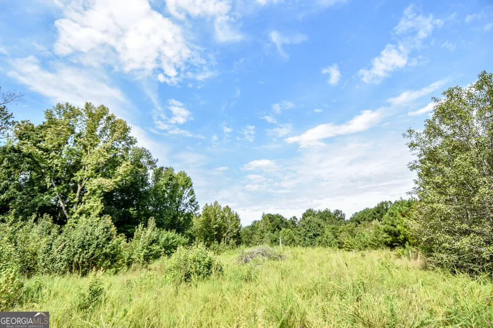 0 Etheridge Mill RD Griffin, GA 30224