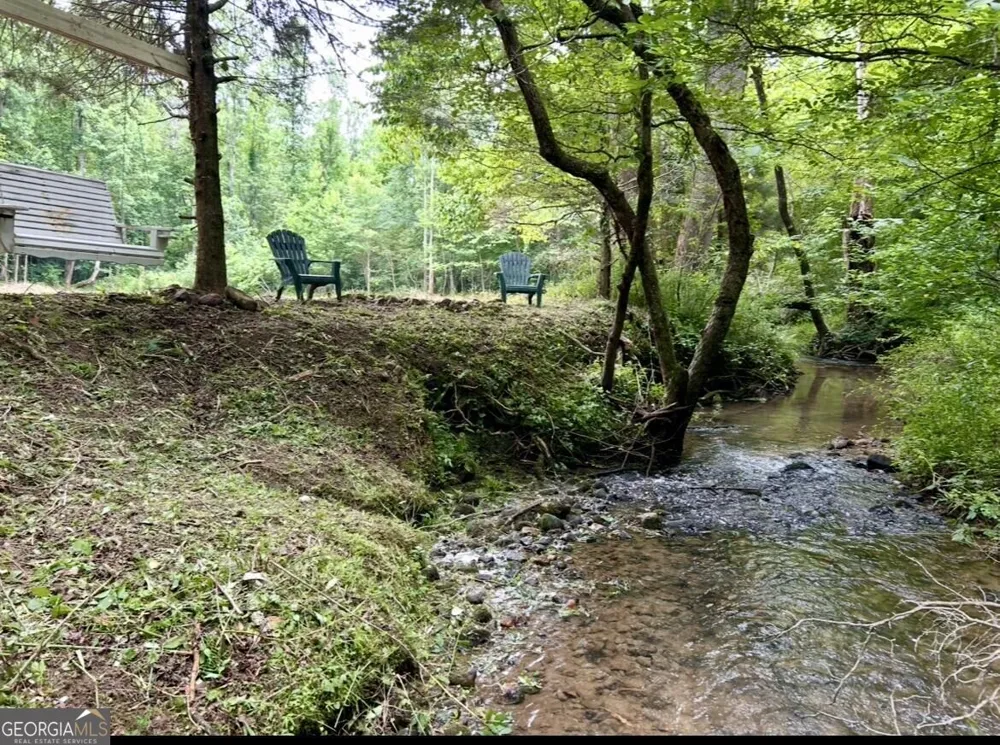 10042 Doublehead Gap RD Blue Ridge, GA 30513