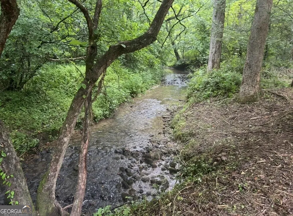 10042 Doublehead Gap RD Blue Ridge, GA 30513