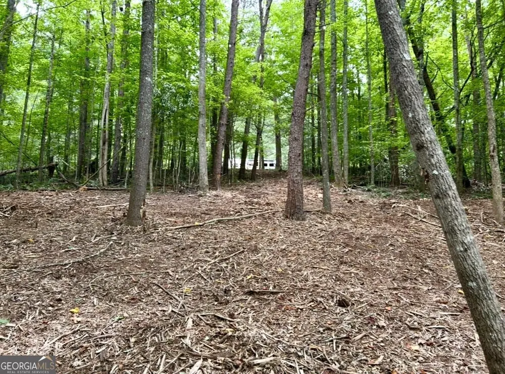 10042 Doublehead Gap RD Blue Ridge, GA 30513
