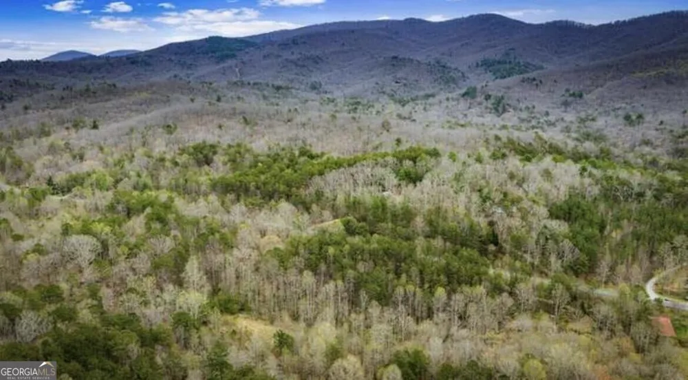 10042 Doublehead Gap RD Blue Ridge, GA 30513