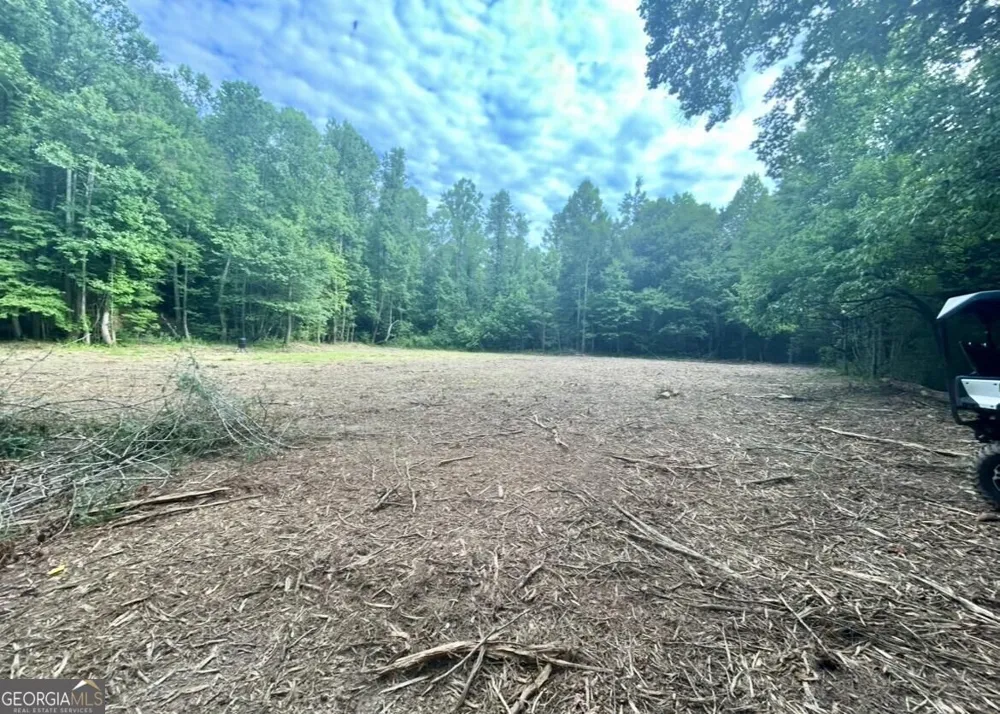 10042 Doublehead Gap RD Blue Ridge, GA 30513