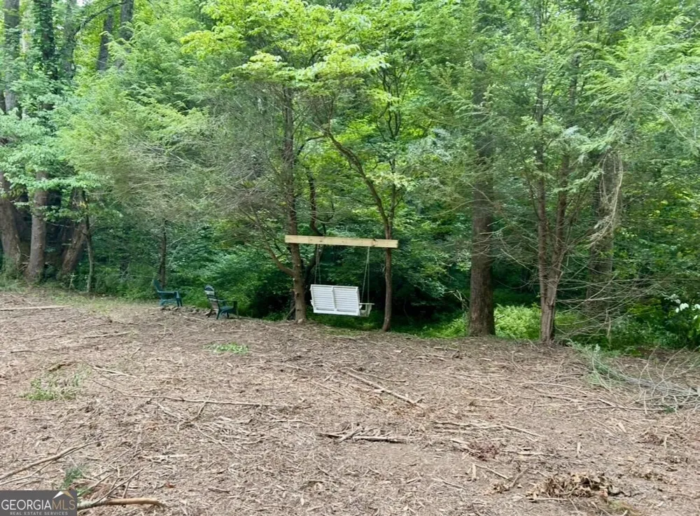 10042 Doublehead Gap RD Blue Ridge, GA 30513