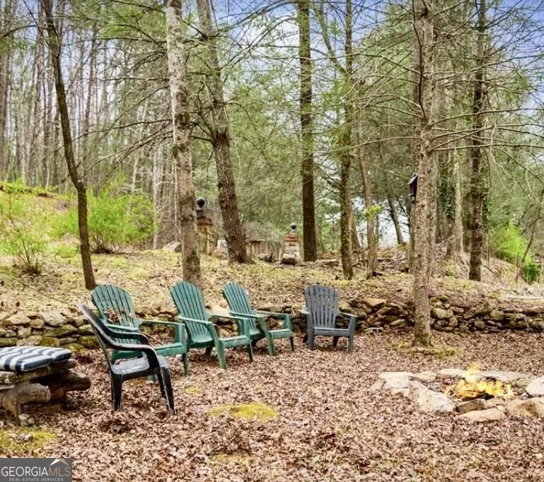 10042 Doublehead Gap RD Blue Ridge, GA 30513