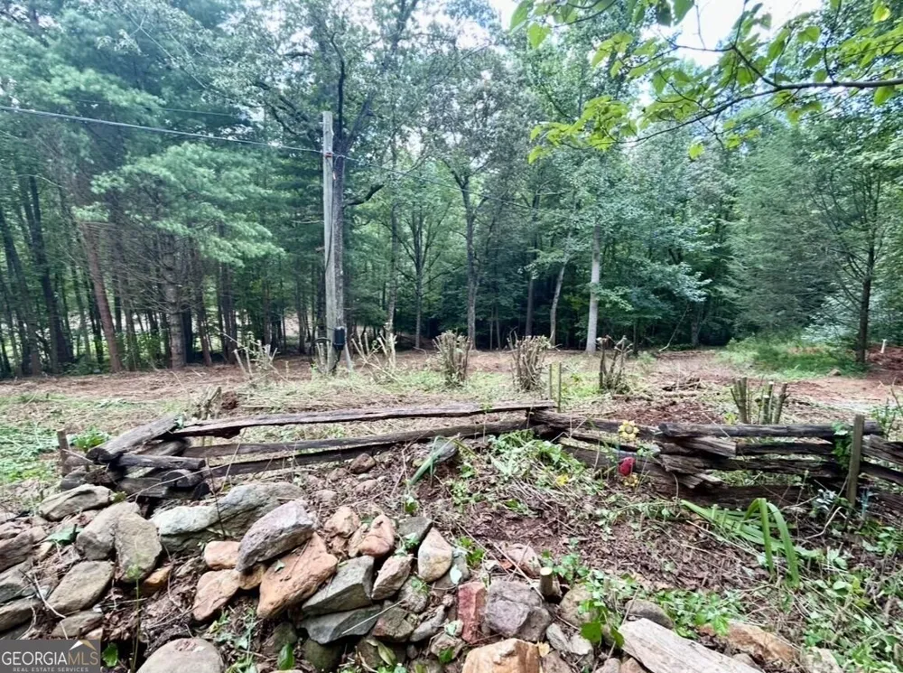10042 Doublehead Gap RD Blue Ridge, GA 30513