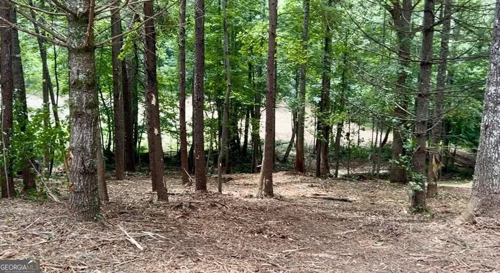 10042 Doublehead Gap RD Blue Ridge, GA 30513