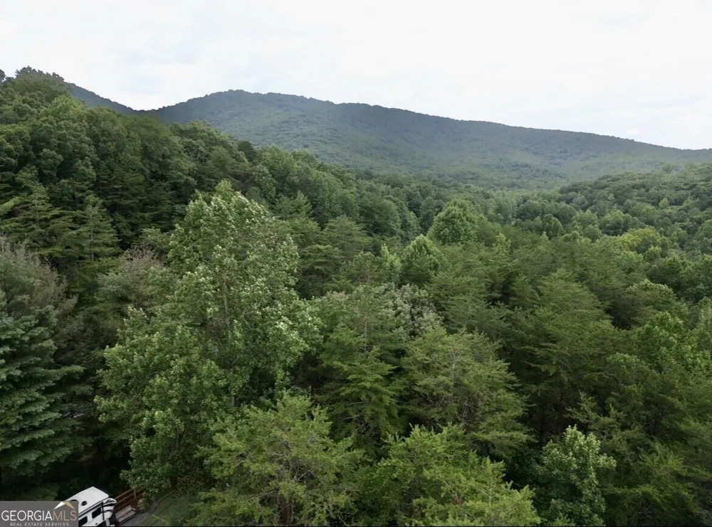 10042 Doublehead Gap RD Blue Ridge, GA 30513