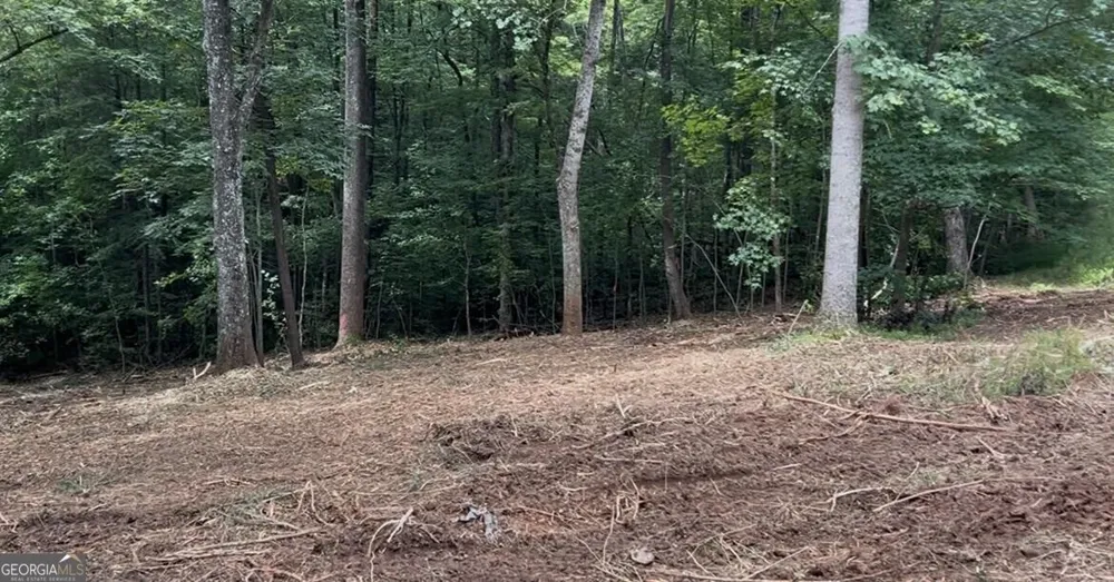 10042 Doublehead Gap RD Blue Ridge, GA 30513