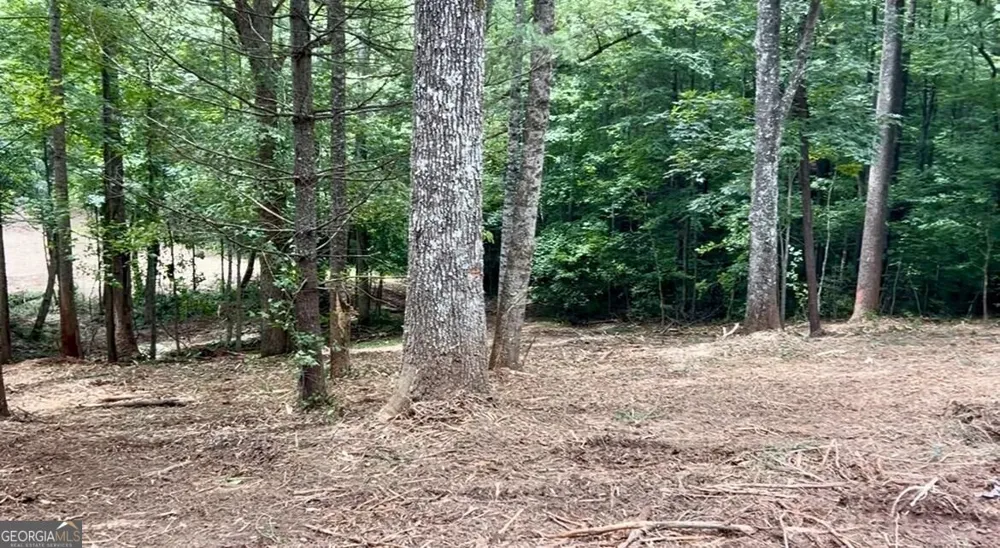 10042 Doublehead Gap RD Blue Ridge, GA 30513