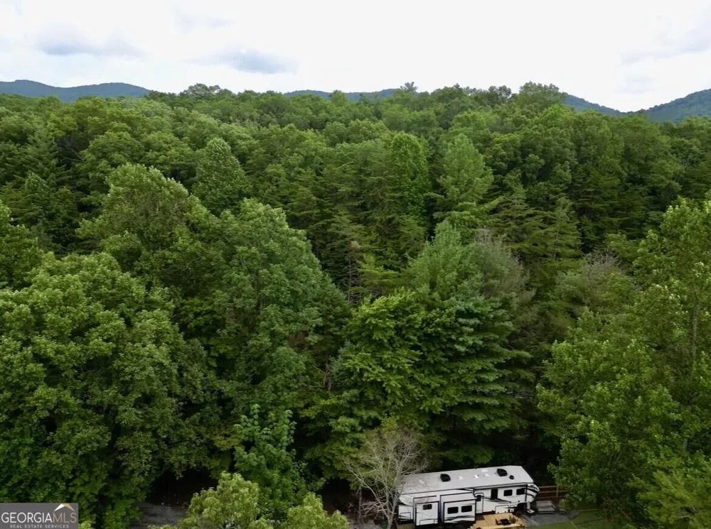 10042 Doublehead Gap RD Blue Ridge, GA 30513