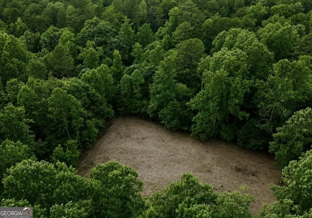 10042 Doublehead Gap RD Blue Ridge, GA 30513